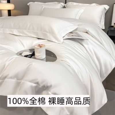 裸睡高品质轻奢高级感100支长绒棉全棉四件套纯棉被套床上用品