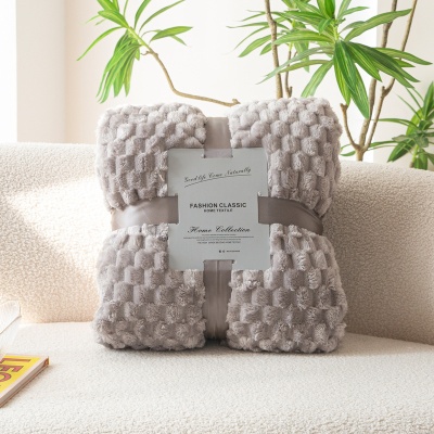 跨境加厚金龟绒毛毯龟背绒多功能午睡毯子学生珊瑚绒盖毯床单可定