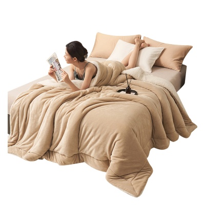 冬季新款羊羔绒毛毯简约双层纯色牛奶绒空调被子双面加厚保暖盖毯