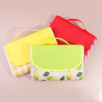 野餐垫加厚带铝模防潮户外野炊野营沙滩帐篷防水草坪垫子便携郊游