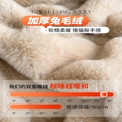 秋冬爆款A类獭兔毛牛奶绒四件套加厚保暖高克重兔兔绒跨境爆品款