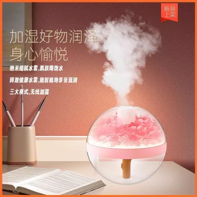 新品永生花加湿器USB迷你家用氛围灯卧室桌面雾化器 创意节日礼物