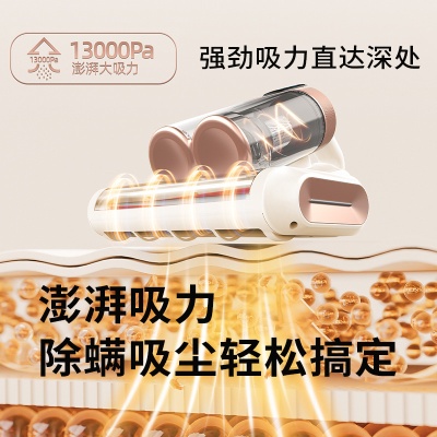 跨境双尘杯滚刷除螨仪拍打家用床上吸尘器大吸力紫光杀菌机除螨机