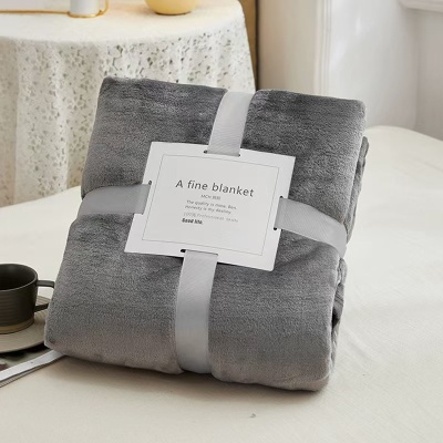 冬季加厚法莱绒毛毯菠萝格外贸毯子宠物小毯子礼品批发可定制Logo