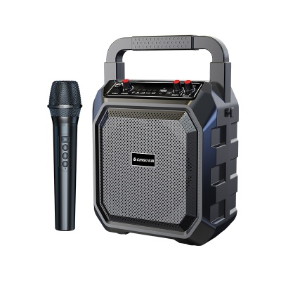 志高户外手提便携大音量广场舞蓝牙音箱家用K歌一体低音炮音响