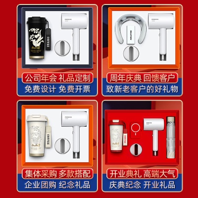 商务礼品套装飞科博锐吹风机伴手礼定制开业活动礼品实用送客户