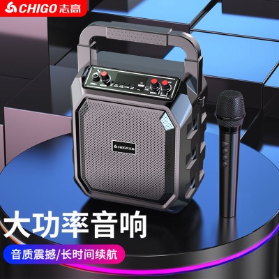 志高户外手提便携大音量广场舞蓝牙音箱家用K歌一体低音炮音响