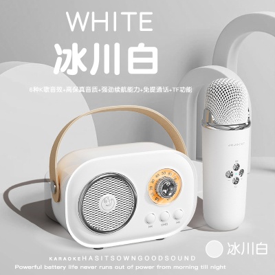 麦克风蓝牙音响带话筒唱歌音响一体机礼品定制户外便携式K歌音箱